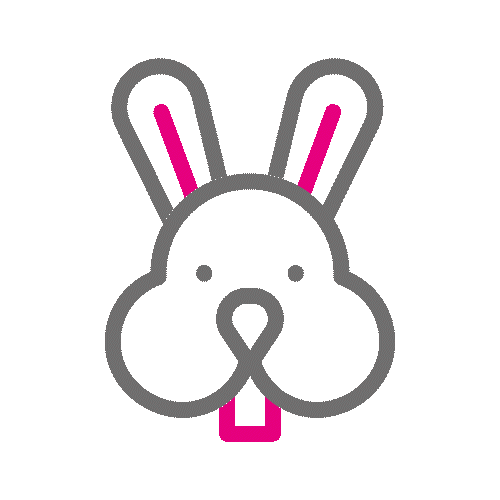 01 Rabbit